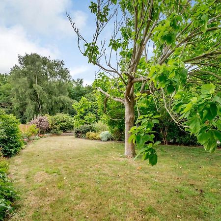 Little Thatch Lovely 2-Bed Converted Workshop Near Weymouth Radipole Eksteriør billede