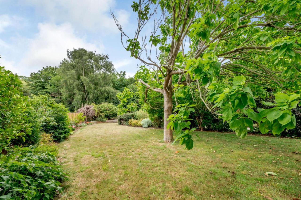 Little Thatch Lovely 2-Bed Converted Workshop Near Weymouth Radipole Eksteriør billede