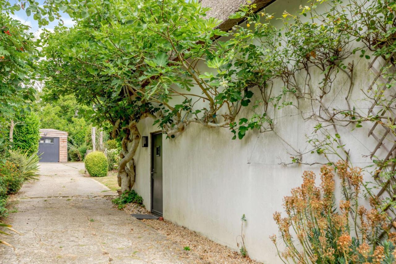 Little Thatch Lovely 2-Bed Converted Workshop Near Weymouth Radipole Eksteriør billede